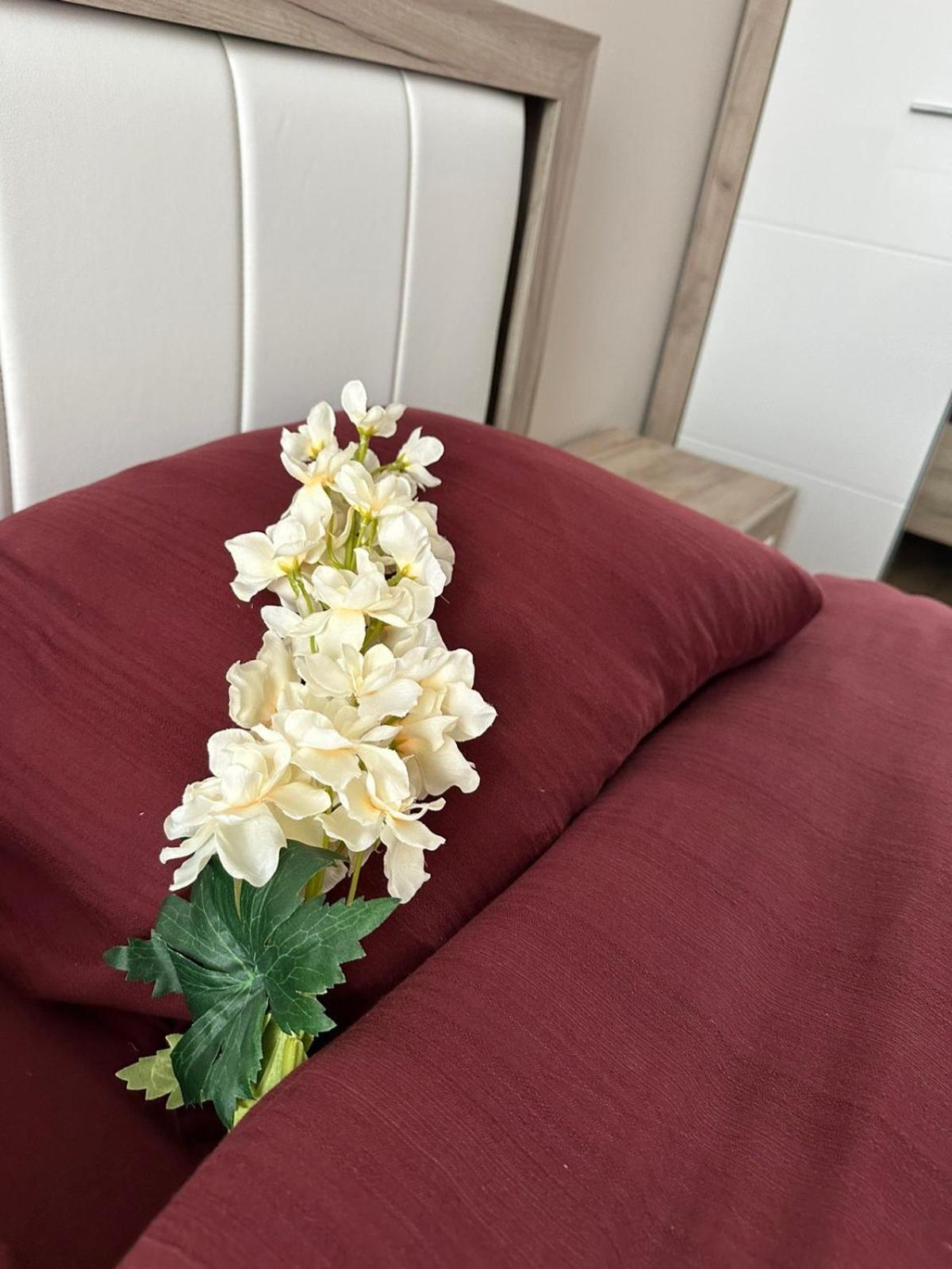 Center Elegant Living Apartment Sofia