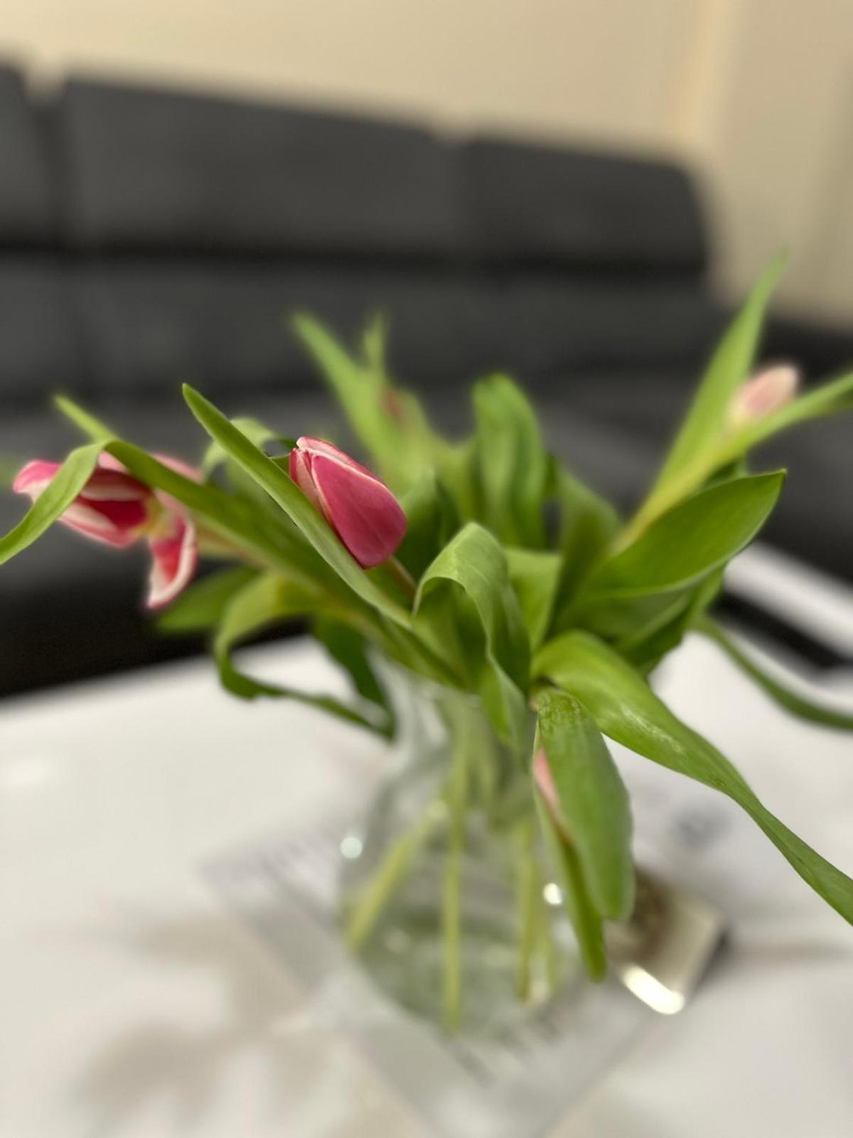 Center Elegant Living Apartment